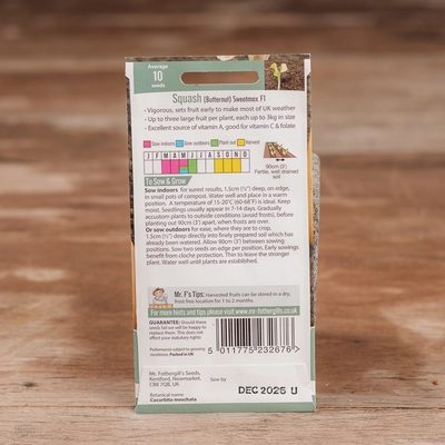 Squash (Butternut) Sweetmax F1 - image 2
