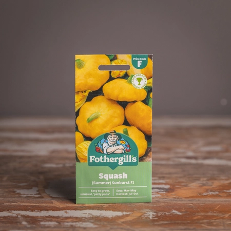 Squash (Summer) Sunburst F1 - image 1