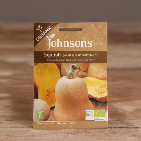 Squash (Winter) Early Butternut Organic - image 1