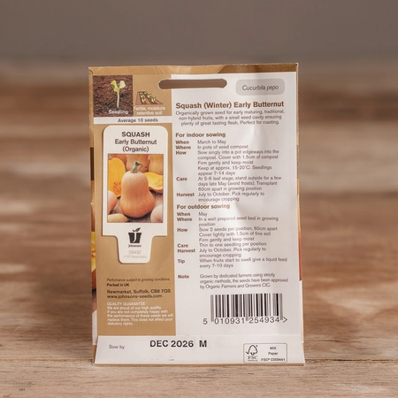 Squash (Winter) Early Butternut Organic - image 2