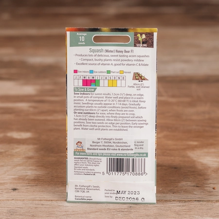 Squash (Winter) Honey Bear F1 - image 2