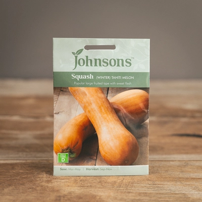 Squash (Winter) Tahiti Melon - image 1