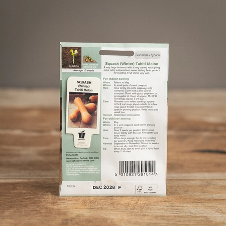 Squash (Winter) Tahiti Melon - image 2