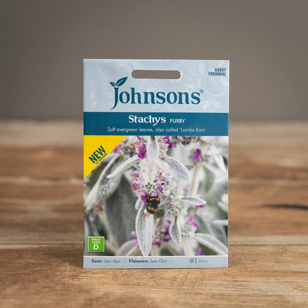 Stachys Furby - image 1