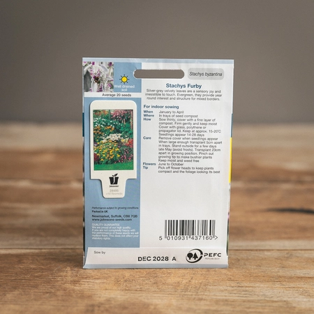 Stachys Furby - image 2