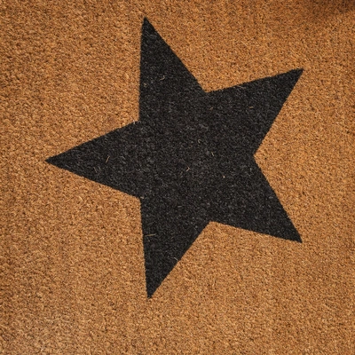 Star Coir Rubber Tray Mat - image 2