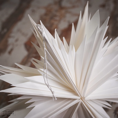 Star Paper White - image 2