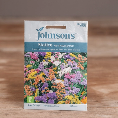 Statice Art Shades Mix - image 1