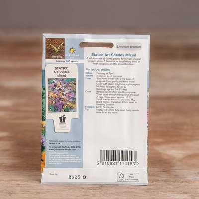 Statice Art Shades Mix - image 2