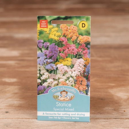 Statice Special Mix - image 1