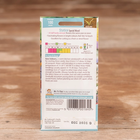 Statice Special Mix - image 2