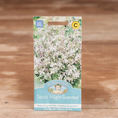 Stock Night Scented - image 1
