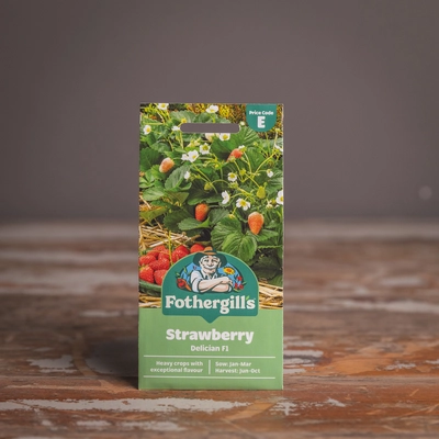 Strawberry Delician F1 - image 1