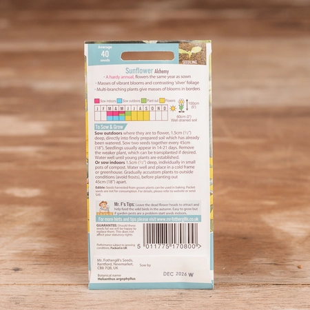 Sunflower Alchemy - image 2