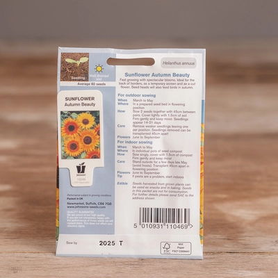 Sunflower Autumn Beauty - image 2