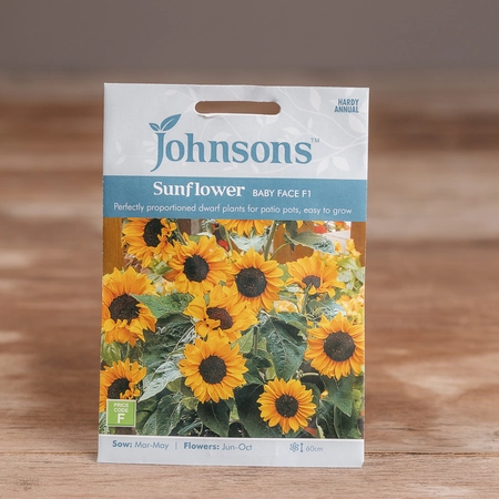 Sunflower Baby Face F1 - image 1