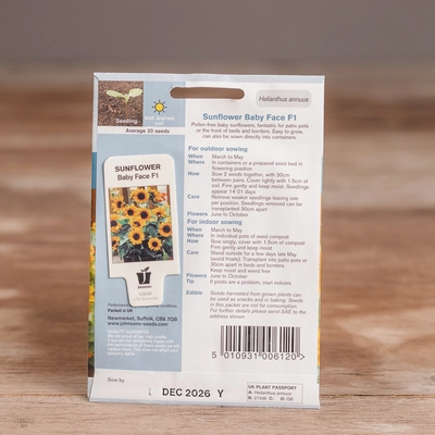 Sunflower Baby Face F1 - image 2