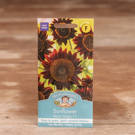 Sunflower Black Magic F1 - image 1