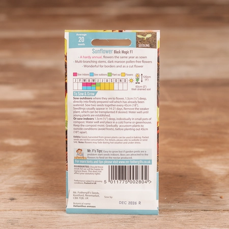 Sunflower Black Magic F1 - image 2