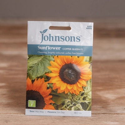 Sunflower Copper Queen F1 - image 1