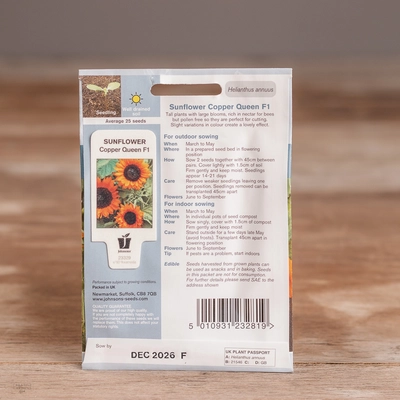 Sunflower Copper Queen F1 - image 2