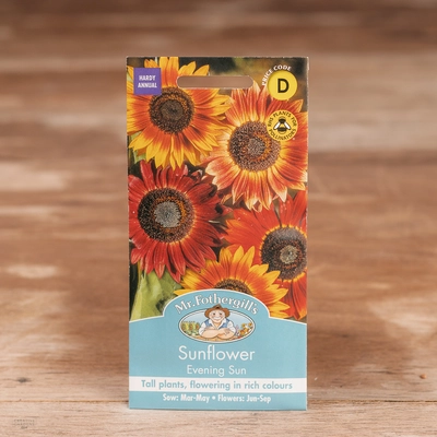 Sunflower Evening Sun - image 1