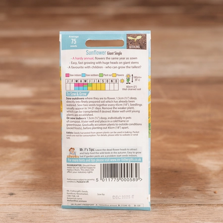 Sunflower Giant Single - image 2