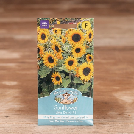 Sunflower Little Dorrit F1 - image 1
