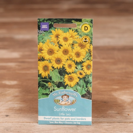 Sunflower Little Leo - image 1