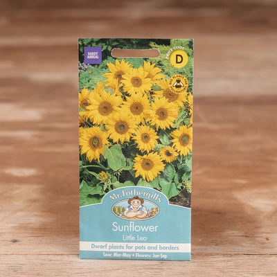 Sunflower Little Leo - image 1