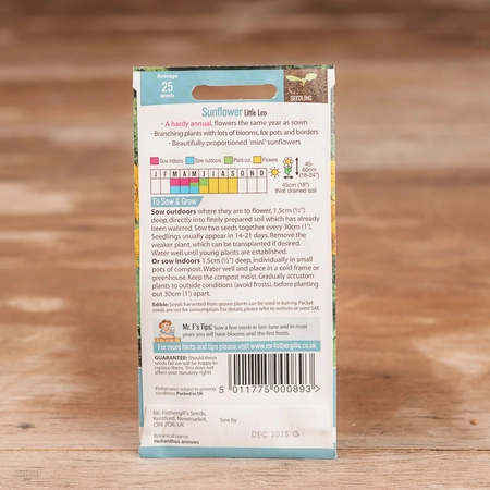 Sunflower Little Leo - image 2