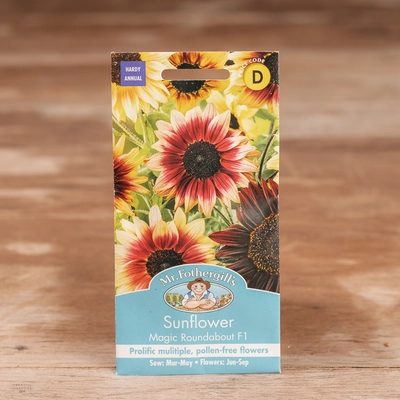 Sunflower Magic Roundabout F1 - image 1