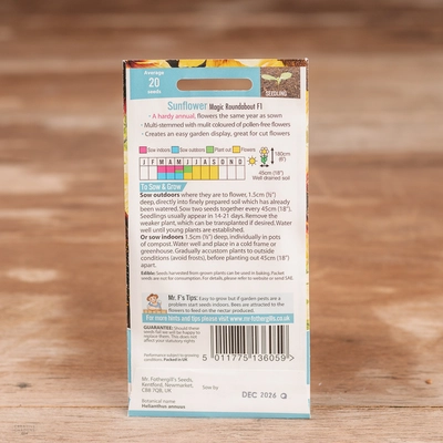 Sunflower Magic Roundabout F1 - image 2