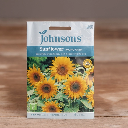 Sunflower Pacino Gold - image 1