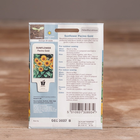 Sunflower Pacino Gold - image 2