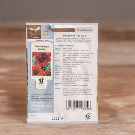 Sunflower Red Sun - image 2