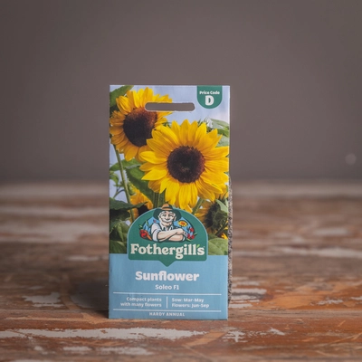Sunflower Soleo F1 - image 1
