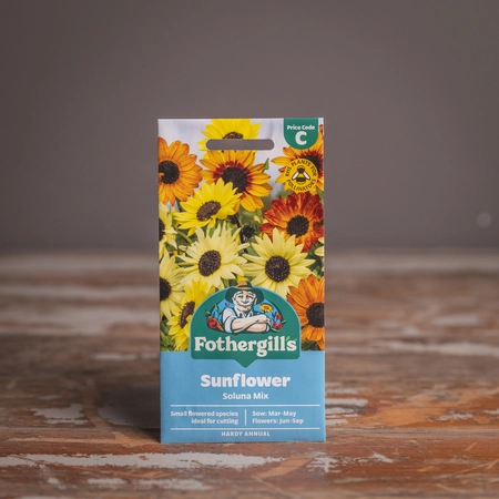 Sunflower Soluna Mix - image 1