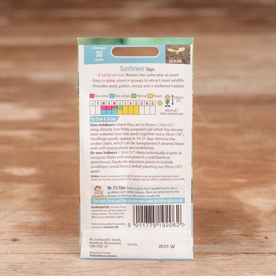 Sunflower Taiyo - image 2