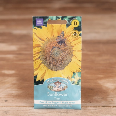 Sunflower Titan - image 1