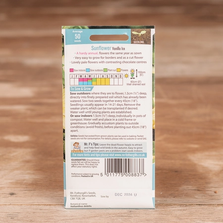 Sunflower Vanilla Ice - image 2