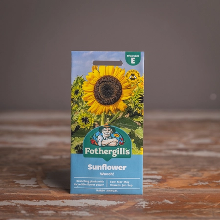 Sunflower Waooh! - image 1