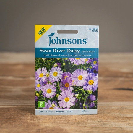 Swan River Daisy Little Missy - image 1