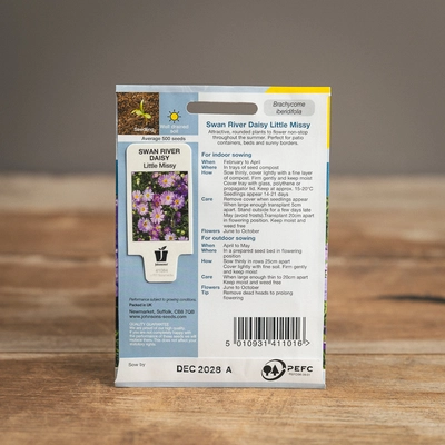 Swan River Daisy Little Missy - image 2