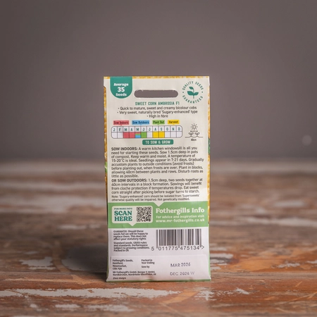 Sweet Corn Ambrosia F1 - image 2