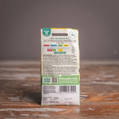 Sweet Corn Bodacious Rm F1 - image 2