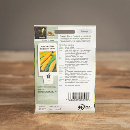 Sweet Corn Bodacious Rm F1 - image 2
