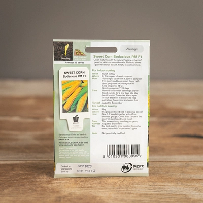 Sweet Corn Bodacious Rm F1 - image 2