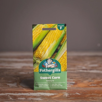 Sweet Corn Galaxy F1 - image 1