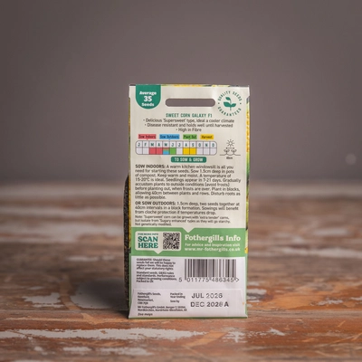 Sweet Corn Galaxy F1 - image 2